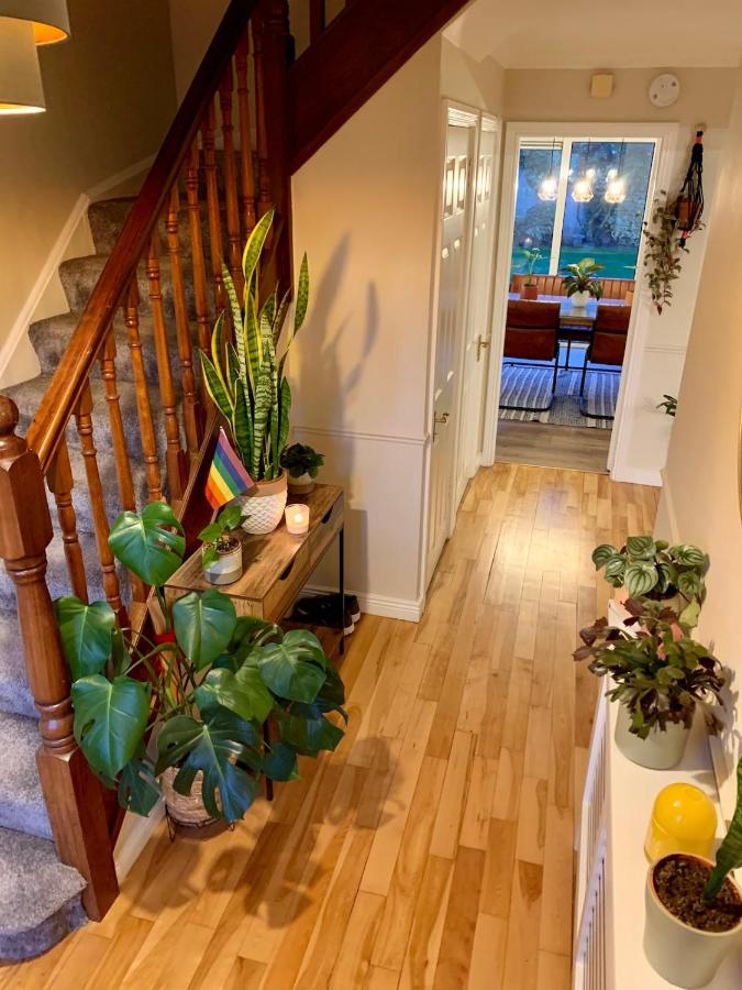 Spacious Private Home and Plant Paradise in Limerick City - Ferienwohnung Limerick