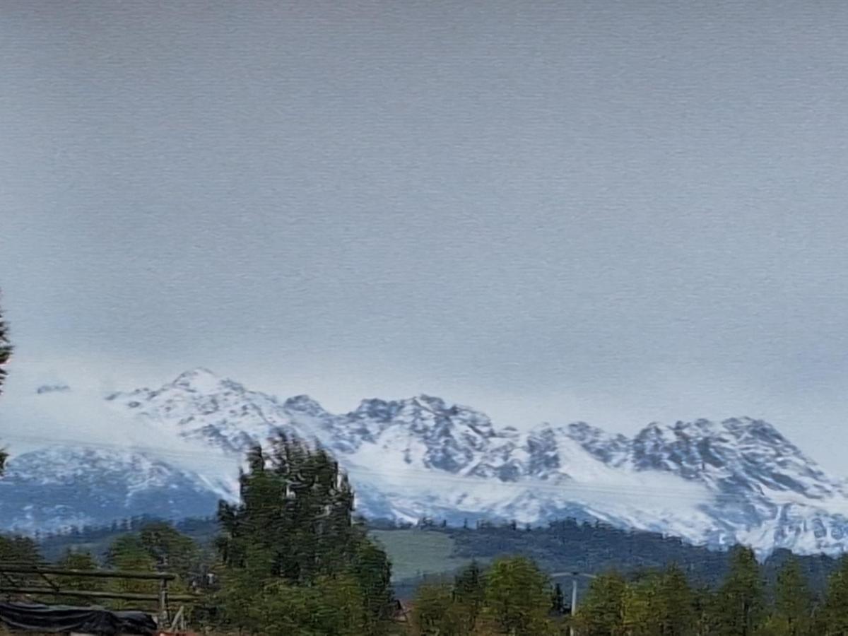 Studio with Mountain View