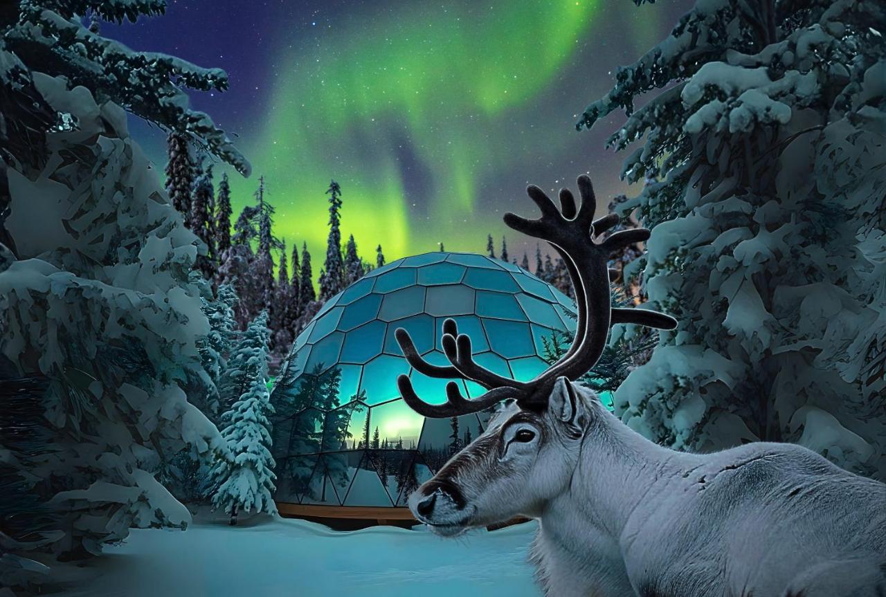 SKOG - Aurora Igloos Resort - Chambres d’hôtes Kalix