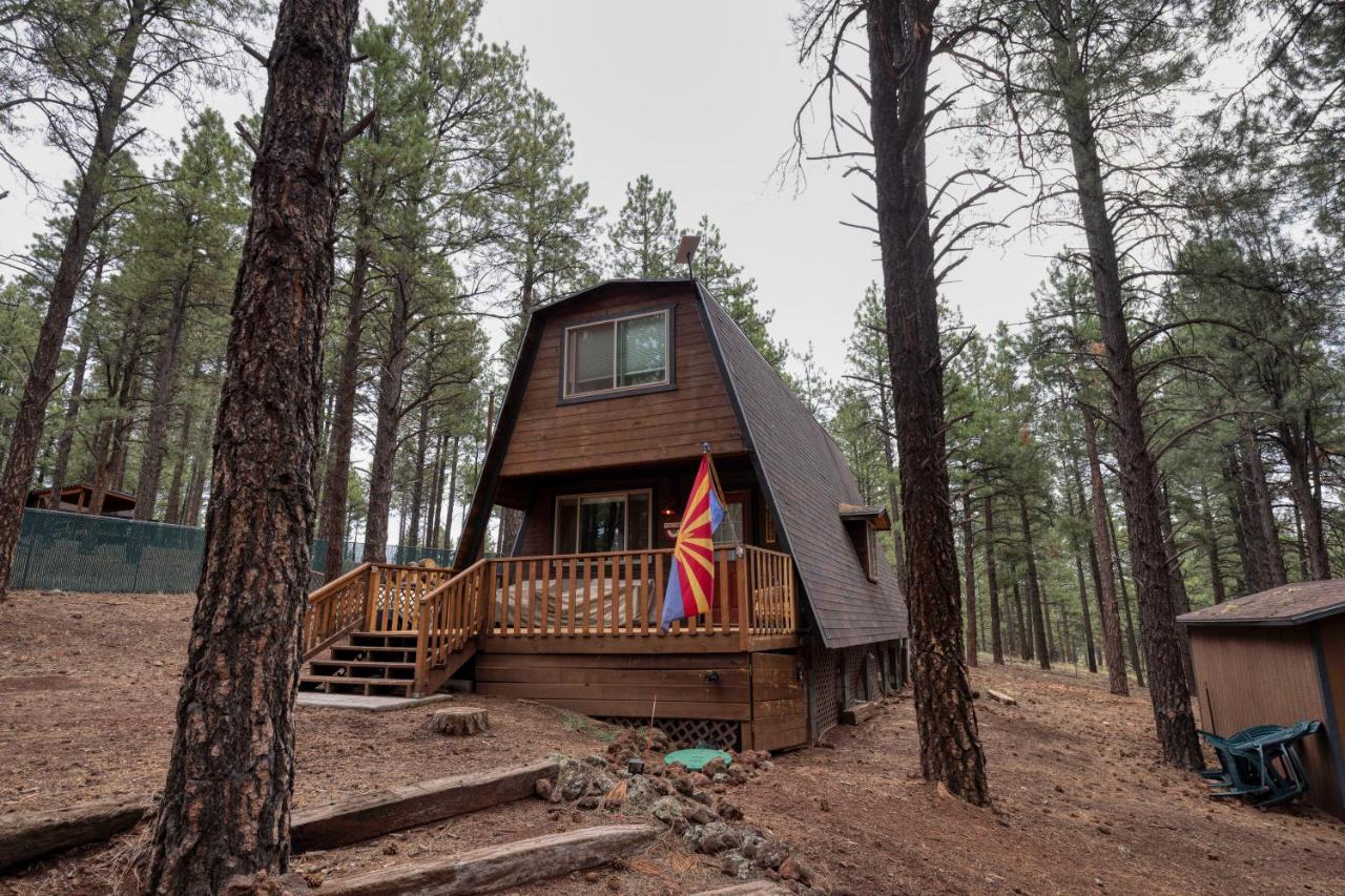 Grand Canyon Gateway Cabin with 1 Acre Pine Retreat near Rt 66 - B&B Williams
