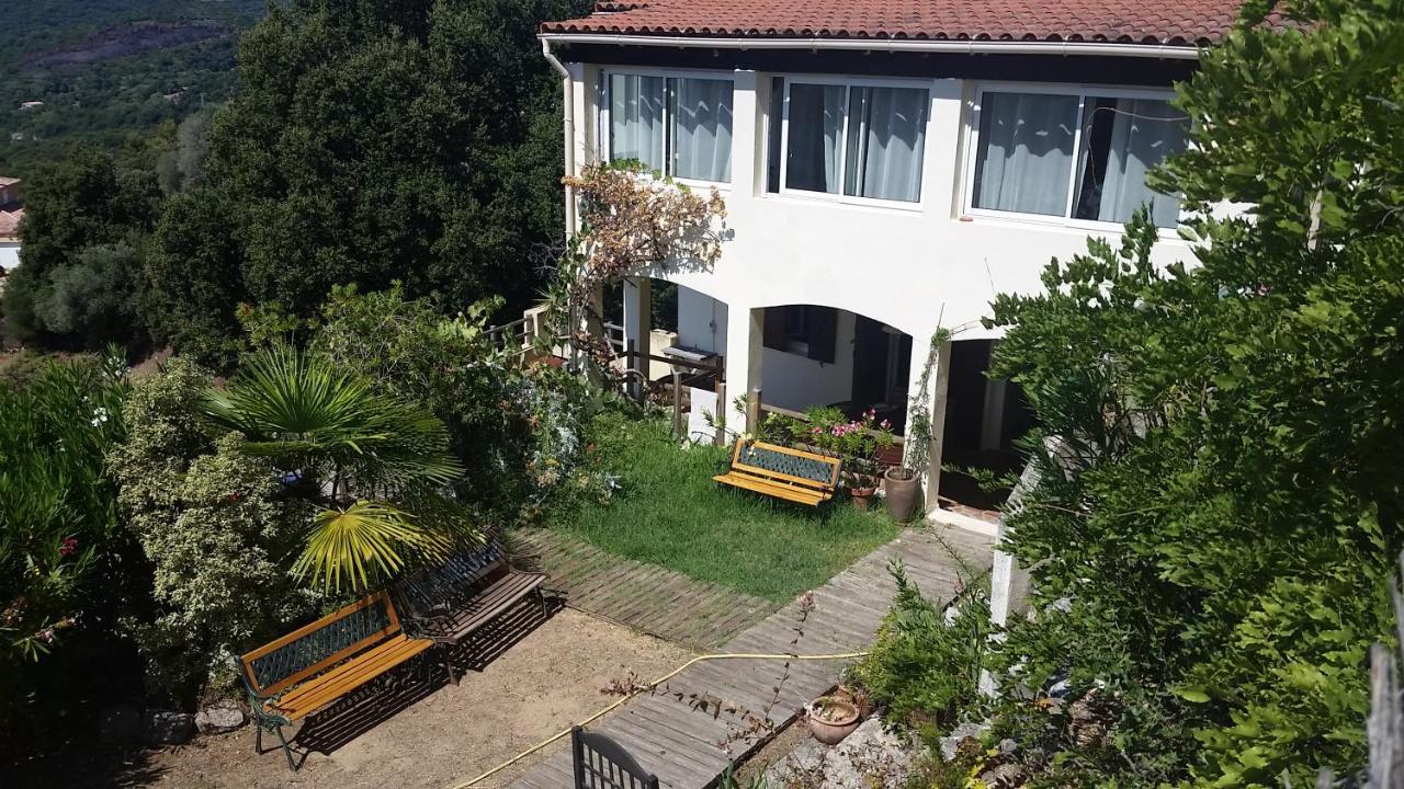 Le Gîte Radica - B&B Eccica-Suarella