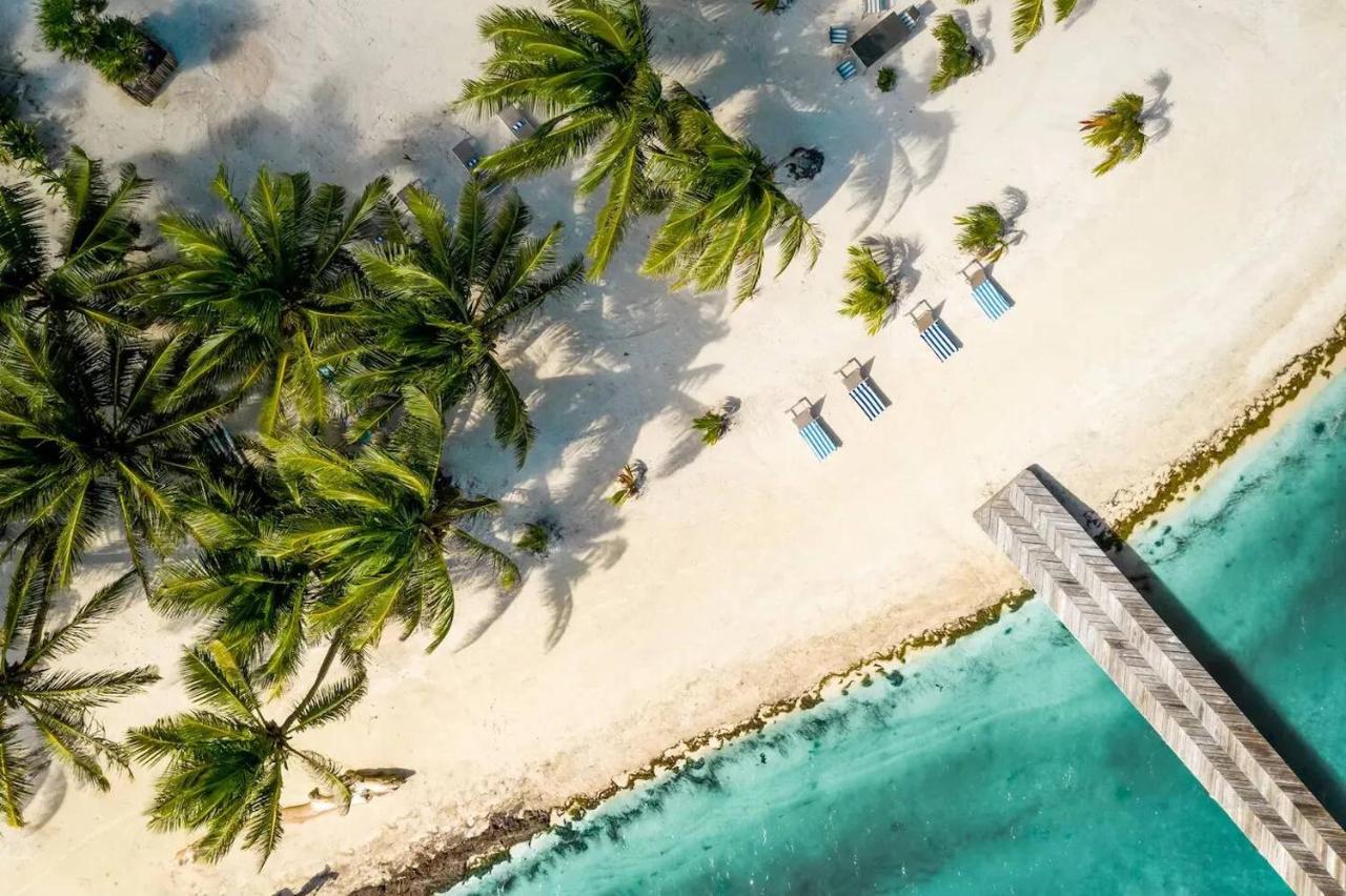 Book And Save Oceanfront Private Estate By Alom - Ferienwohnung San Pedro