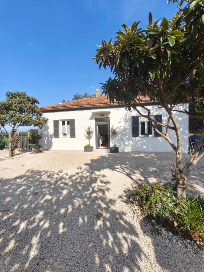 Villa Concetta, piscine privée entre mer et montagne - Abruzzes - Chambres d'hôtes Casalbordino