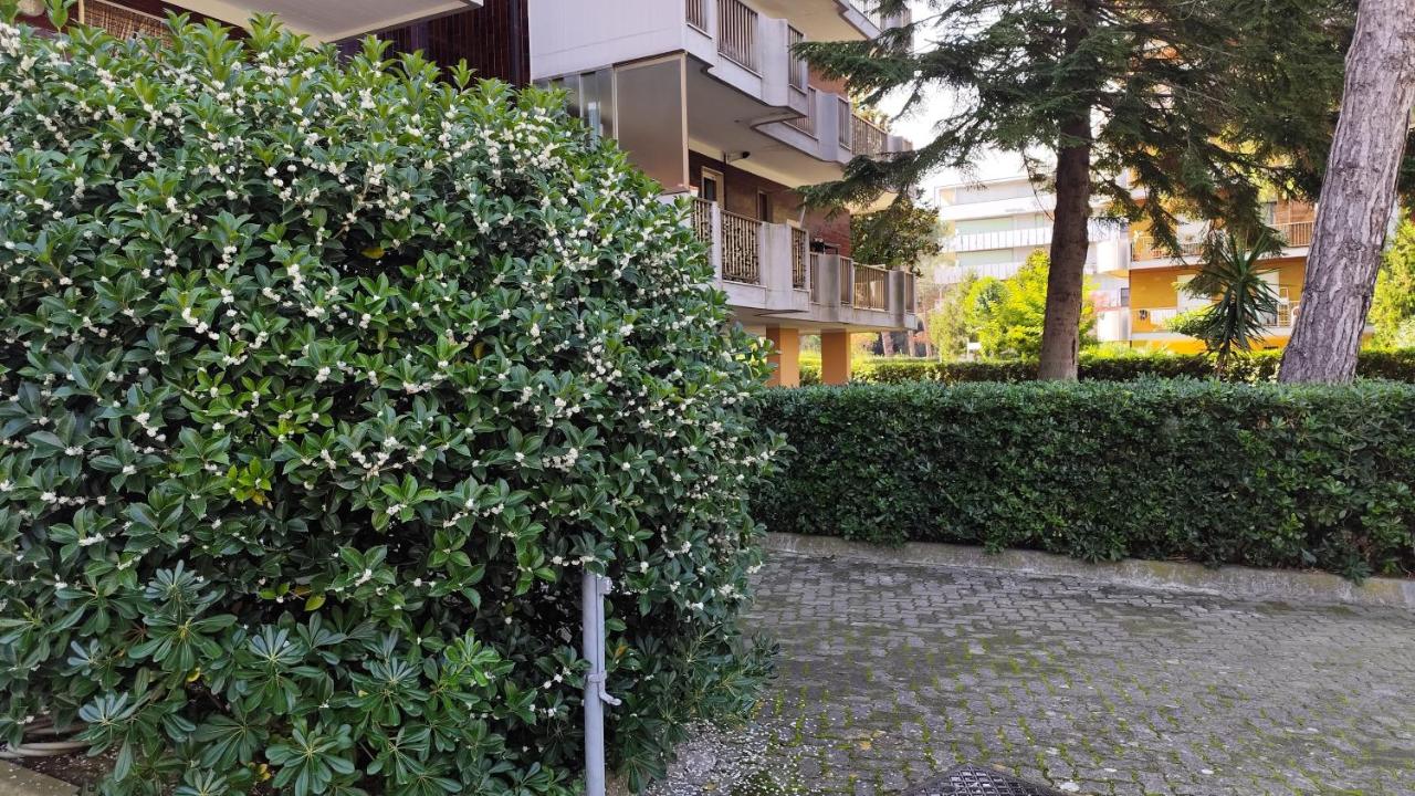 Silvi Marina - Appartamenti Sesia - Chambres d'hôtes Silvi Paese