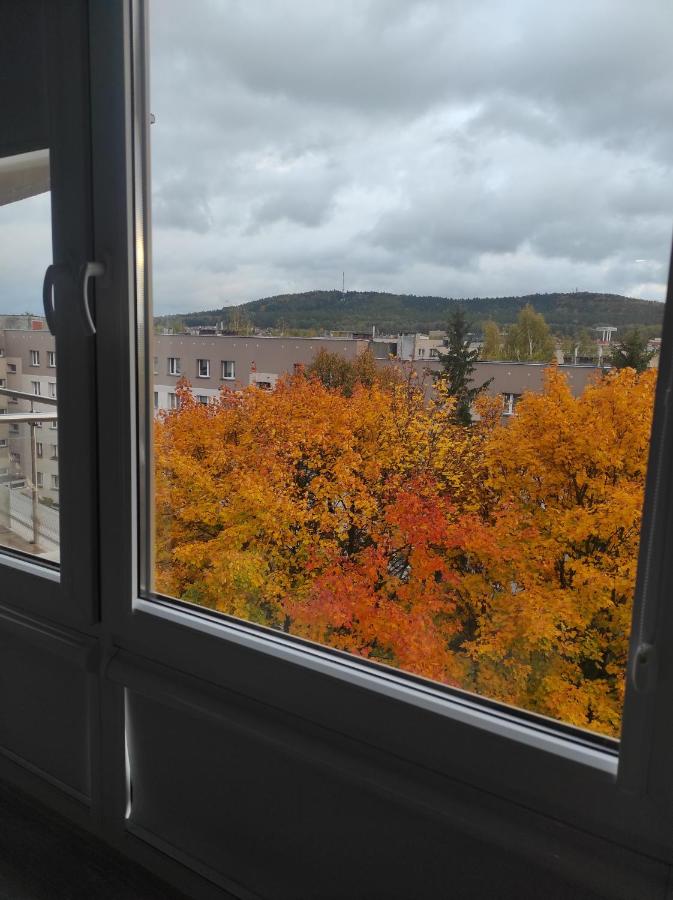 Blue Sky - apartament z pięknym widokiem na górę Telegraf - B&B Kielce