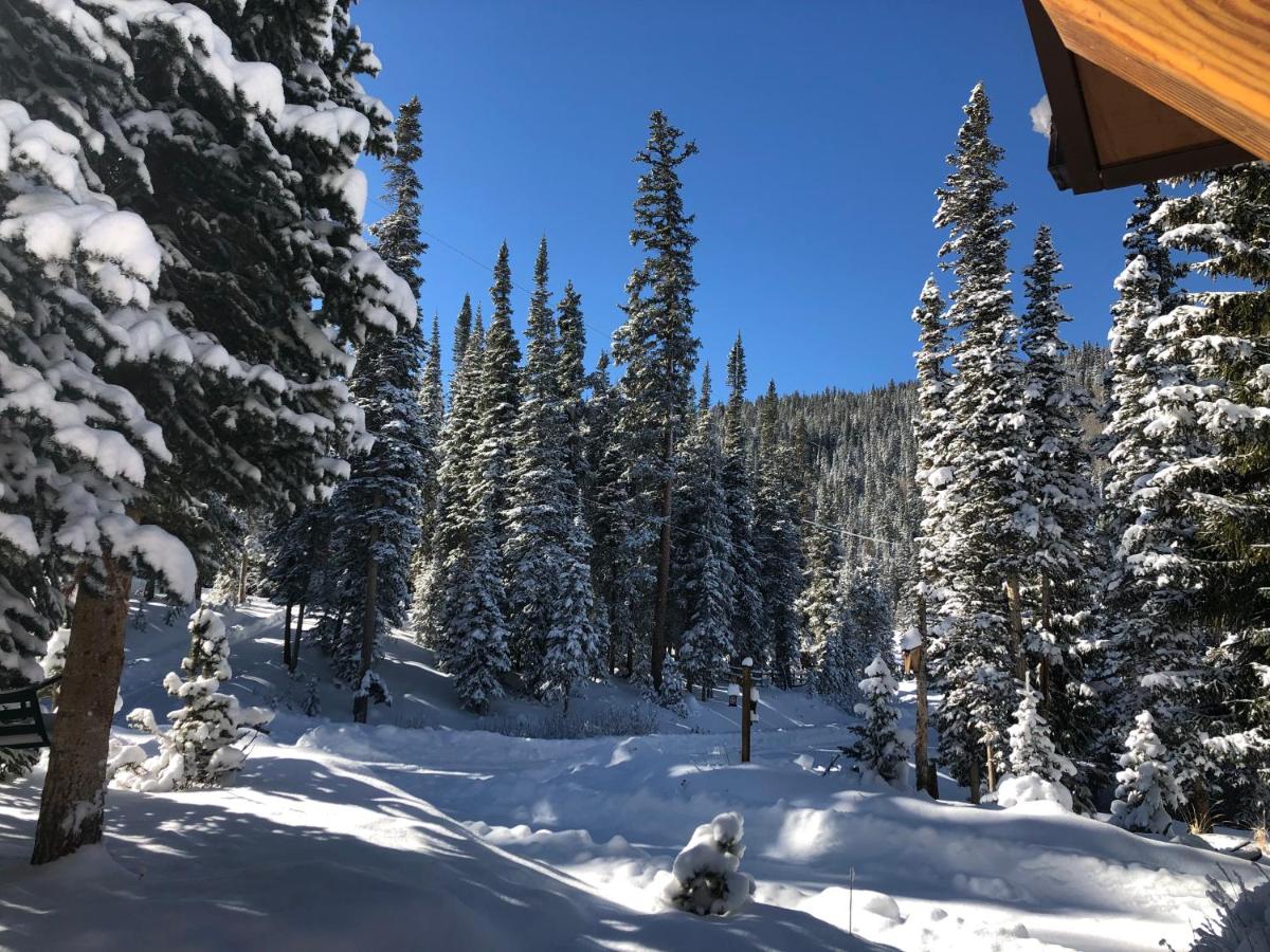 281 Sally Circle - B&B Breckenridge