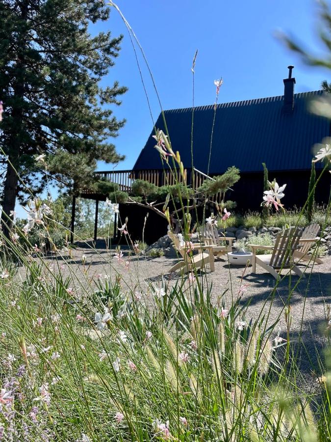 Black Pine Cabin - B&B Szentendre