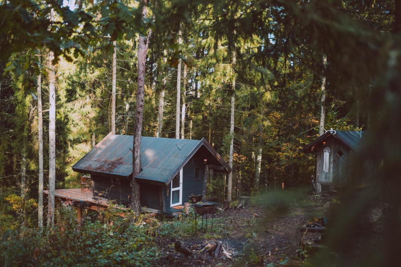 ALŪNA house - B&B Žvirblaičiai
