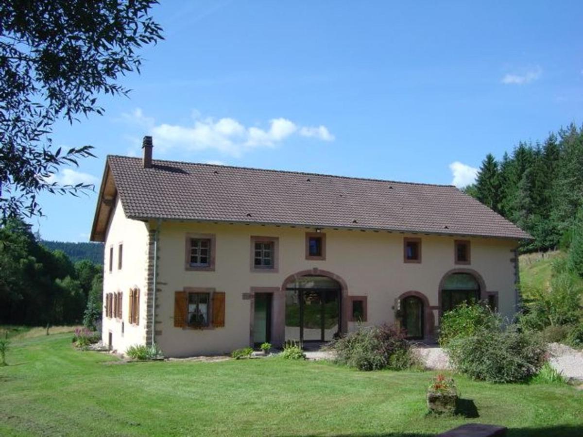 Grande Ferme Rénovée avec Jardin, Terrasse et Sentiers à Proximité - Vosges - FR-1-589-232 - B&B Taintrux