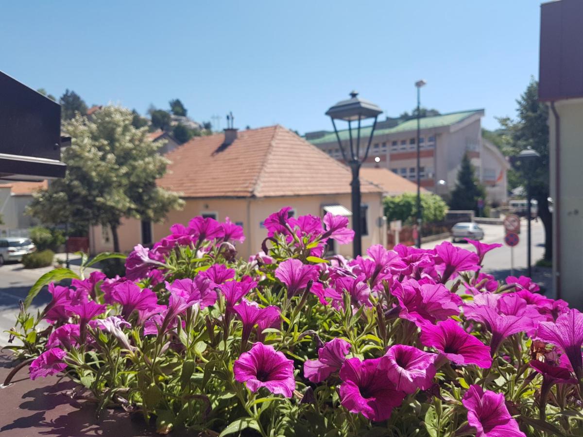 Benvenuti Apartments - Bed and Breakfast Cetinje