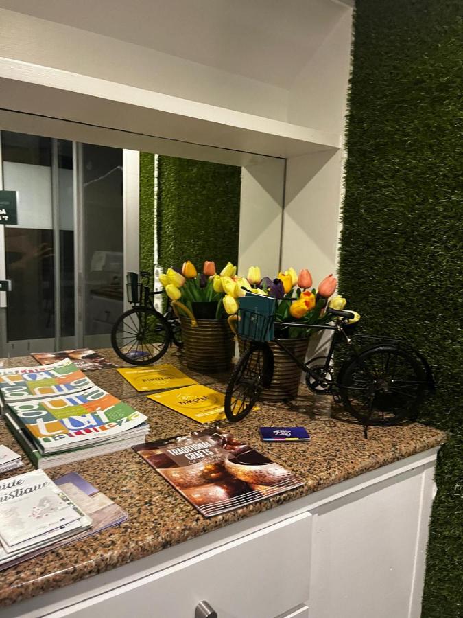 FLOWER RESIDENCE - B&B Castelo de Paiva