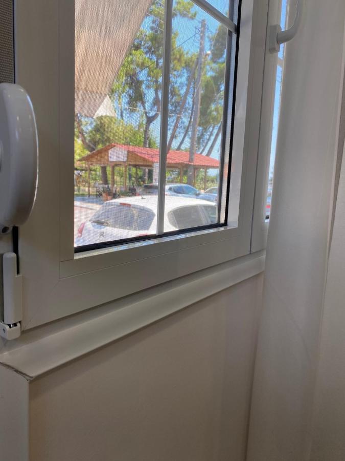 KALLISTO's Apartment , 30m from the sea , Nea Plagia - B&B Nea Plagia