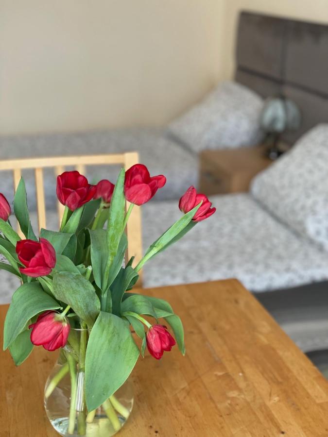 Basic Triple Room with Shared Bathroom