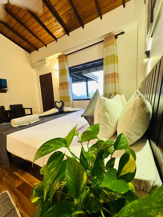 Cozy Sea view Inn - Bed and Breakfast Hikkaduwa