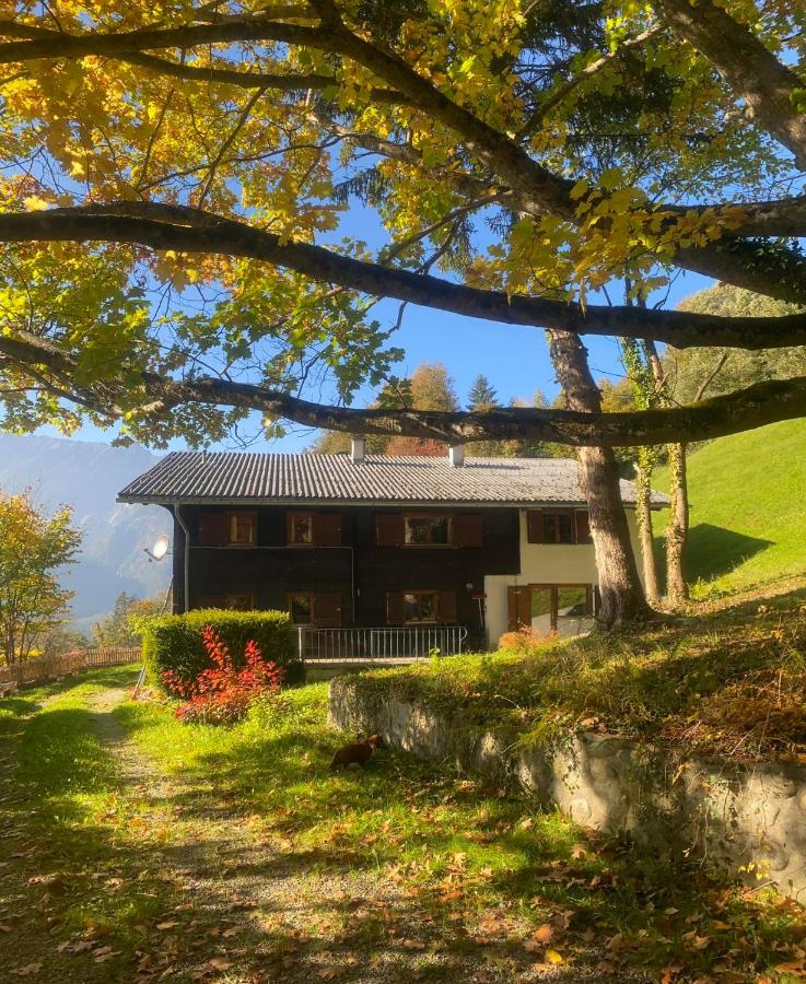Haus Renard - Bed and Breakfast Bartholomäberg