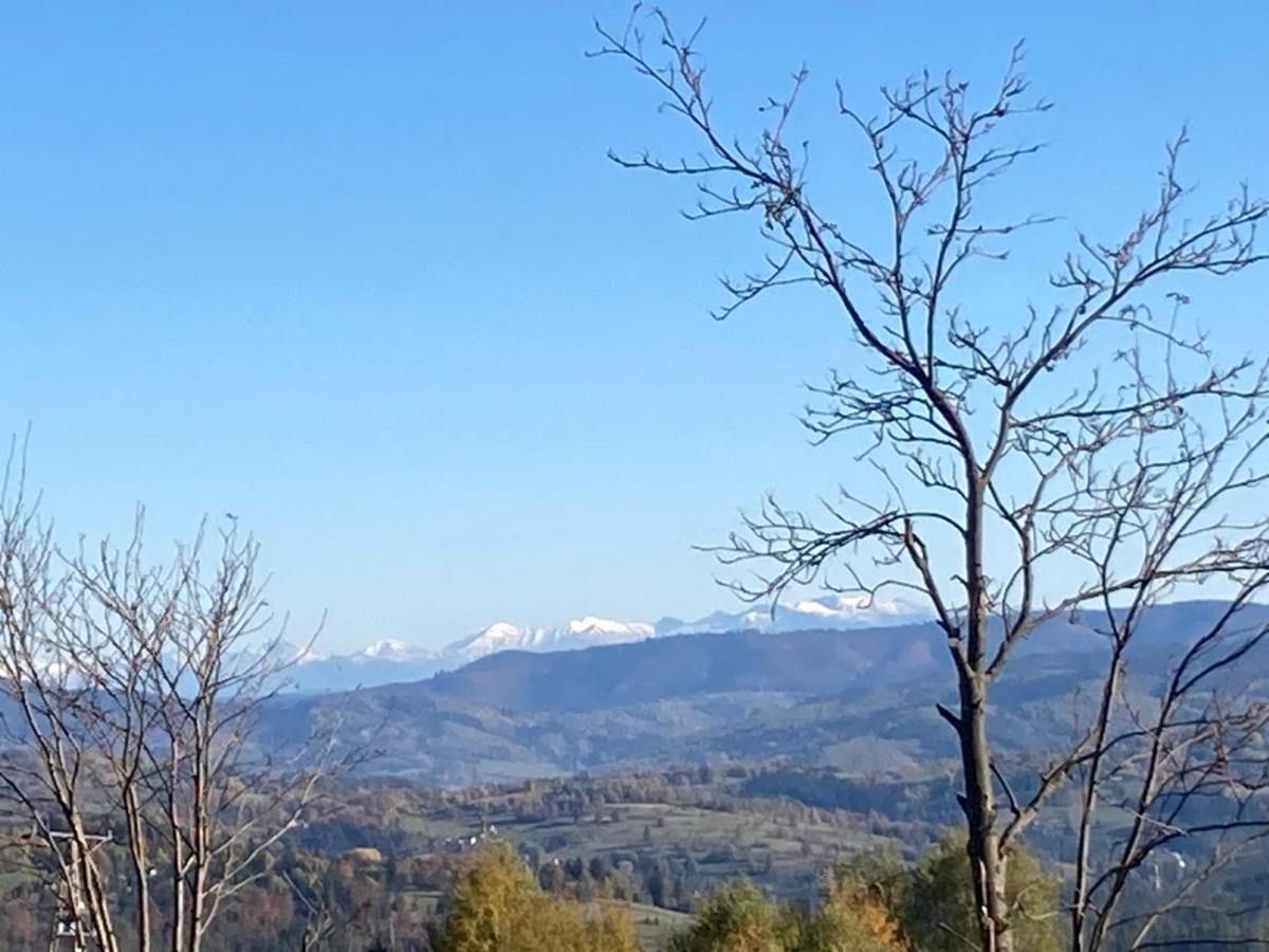Dom w Sadzie Frydrychówka - B&B Jaworzynka