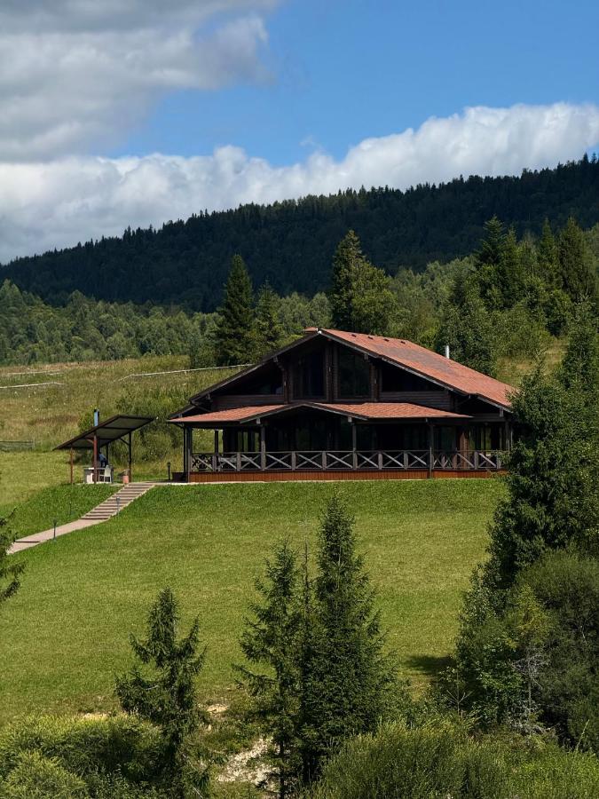 Шале Задільське - Chambres d’hôtes Dovzhky