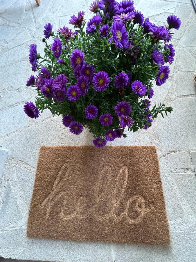 Chalupa na konci světa Světlá - Bed and Breakfast Studená