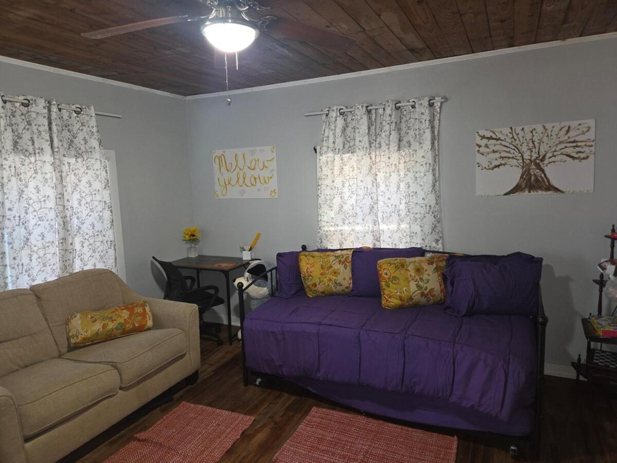 Yellow Mellow - B&B Jackson