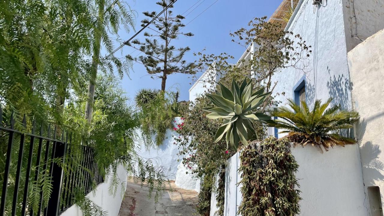 Casa Cueva Solara, peace and nature in Cabo de Gata - B&B Níjar