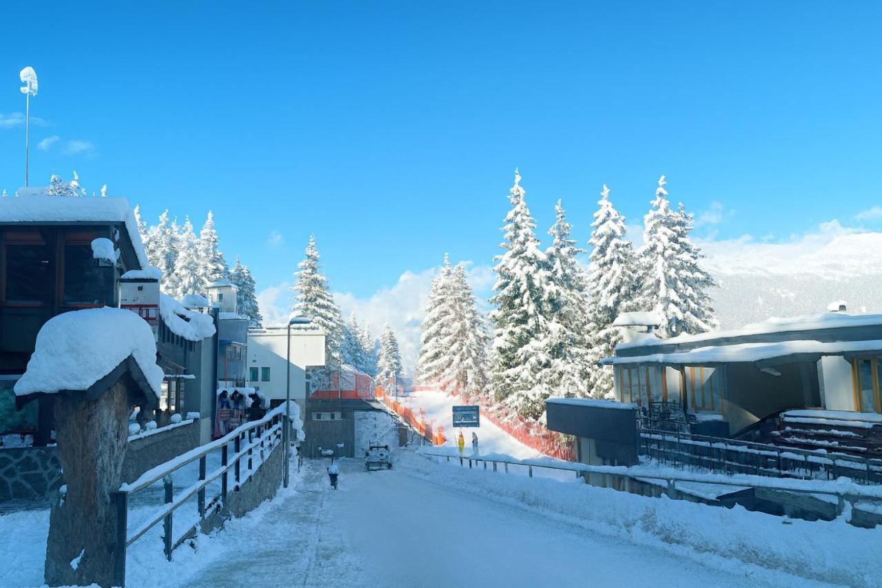 Residence Abete - B&B Marilleva 1400