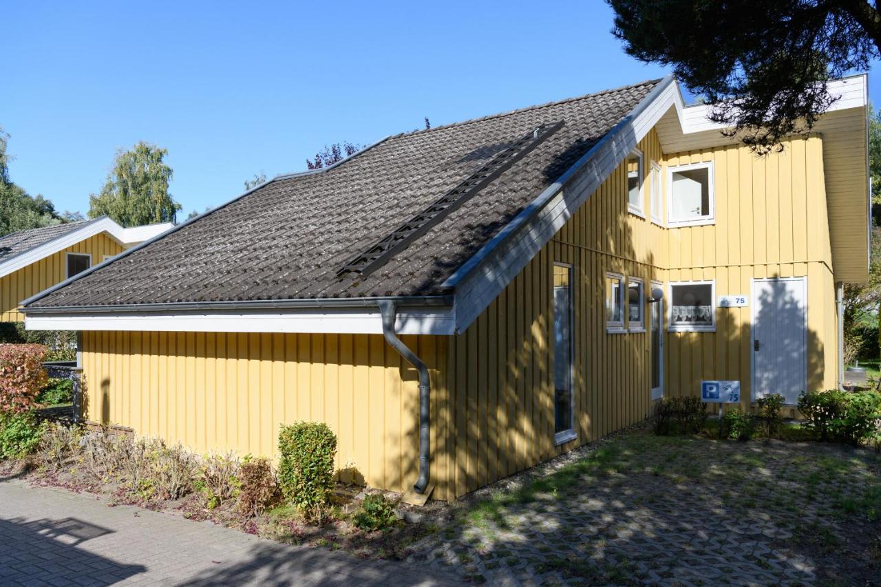 Wildgans 75 - B&B Mirow