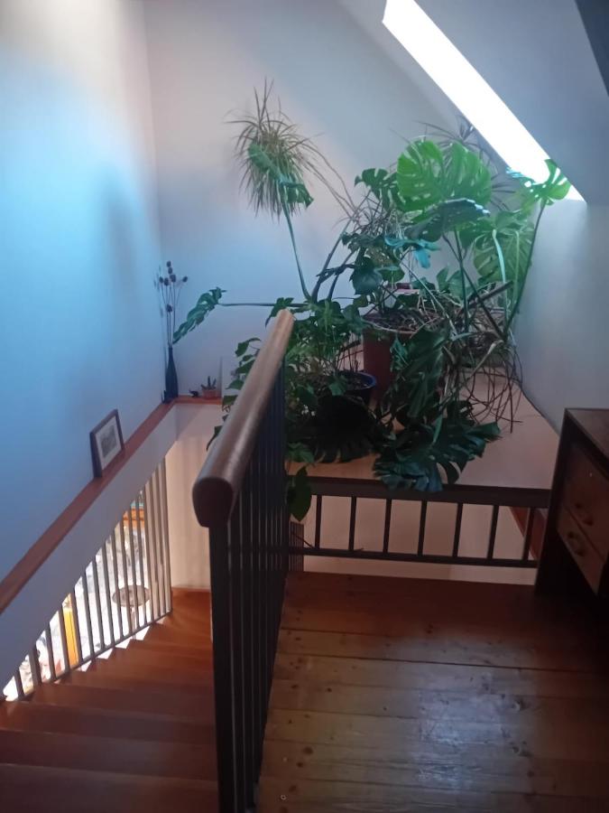 Útulné zátišie v zoborskom dome - B&B Nitra