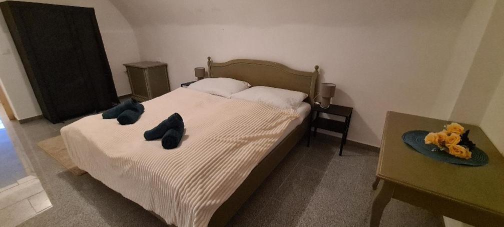 Appartement - Rez-de-Chaussée