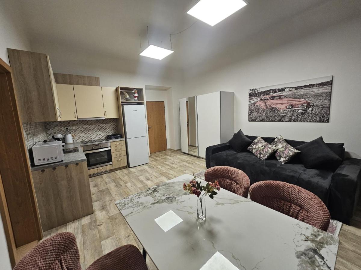 Kompletně vybavený byt s ložnicí v centru u divadla #HomeVibes50 - B&B Pardubice