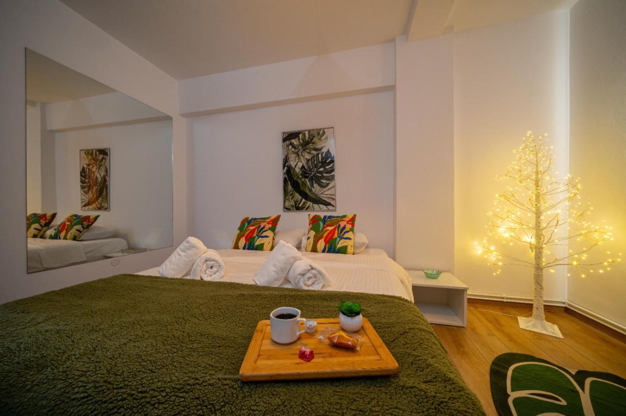 Piatra Craiului Cozy Flat - Ferienwohnung Temeswar