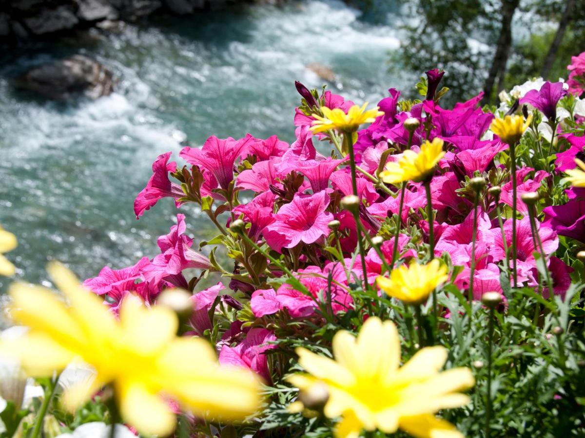Apartamento de 2 dormitorios con balcón