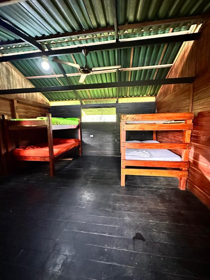 Litera en habitación compartida mixta