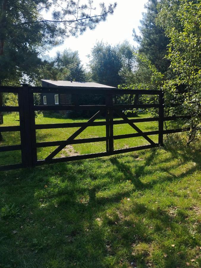 Zacisze the Skuzos - Bed and Breakfast Zdbice