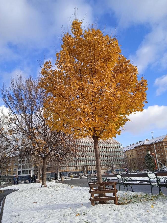 Rooseveltova Apartment Near Castle - Chambres d’hôtes Prague