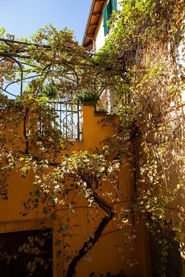 Appartamento con terrazza La Voliera di Bacco - Chambres d’hôtes Frascati