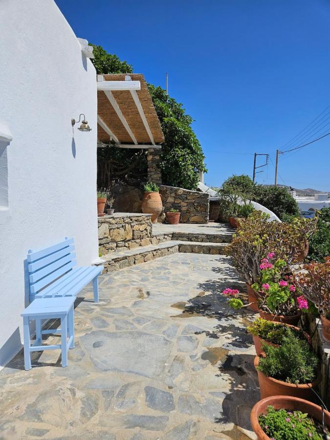 18th-Century Heritage Stone House with Private Garden - B&B Ano Mera