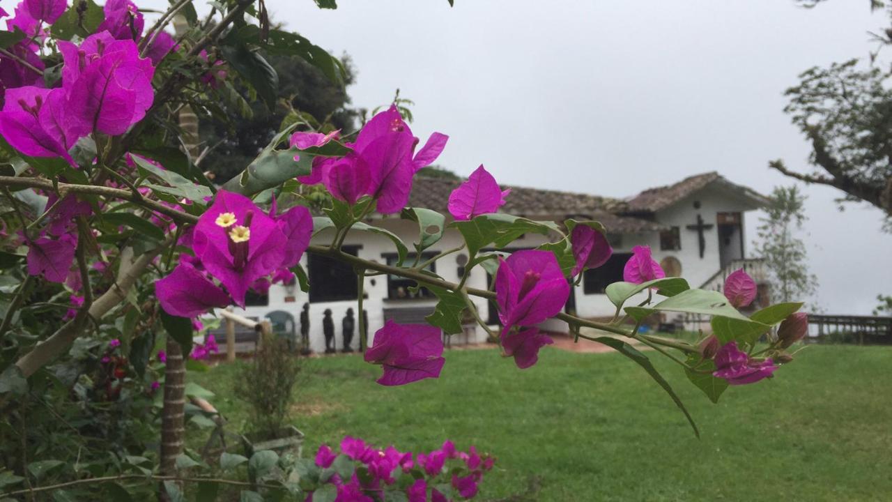 Finca Bello Horizonte Cali - Bed and Breakfast Cali
