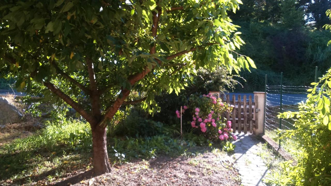 Jaures Home - B&B Carmaux