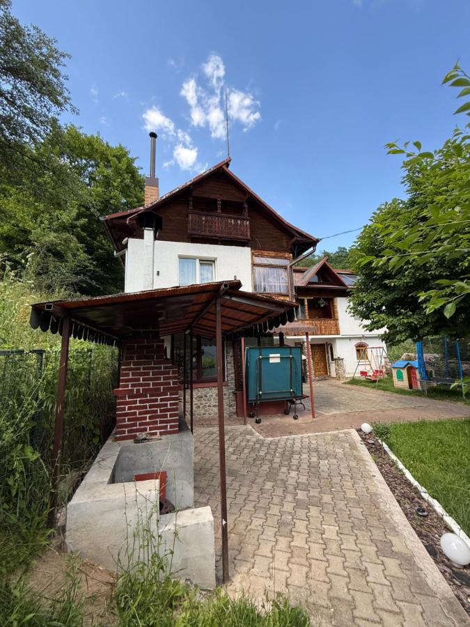 Casa COLT DE RAI - Ferienwohnung Brezoi