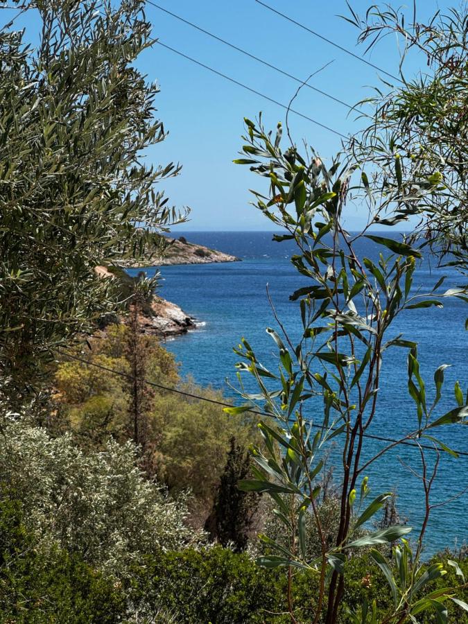 Attica Vacation Home - Chambres d’hôtes Dhaskalión