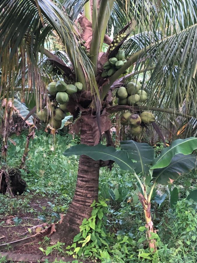 Tweepersoonskamer met Eigen Badkamer