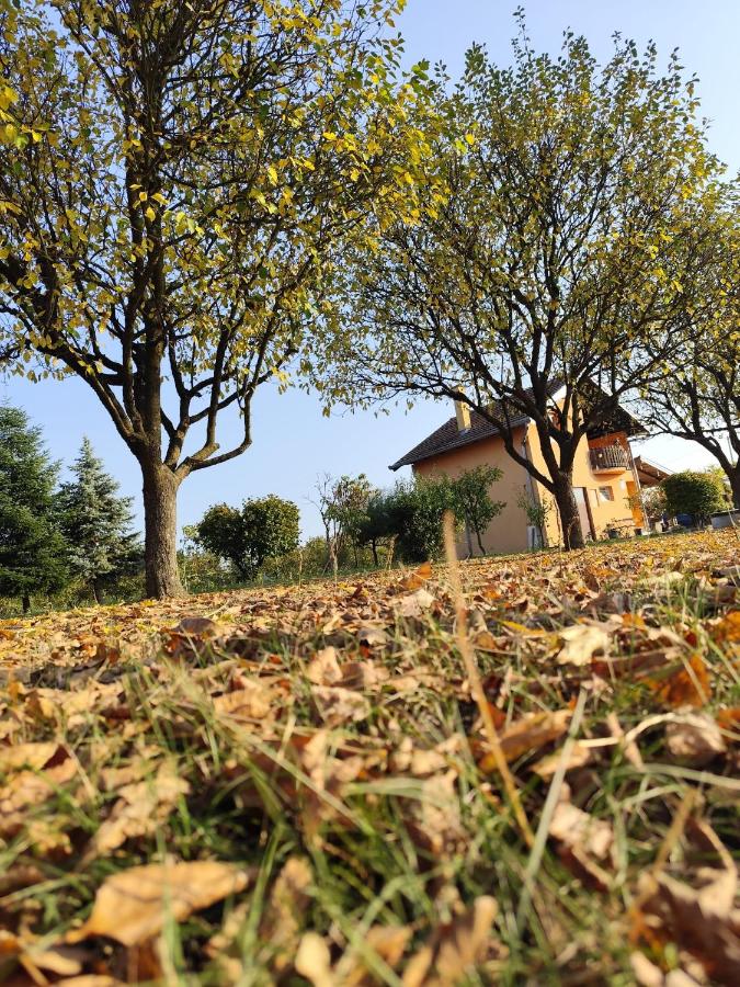Kuća za odmor Duga - Bed and Breakfast Šušnjevci