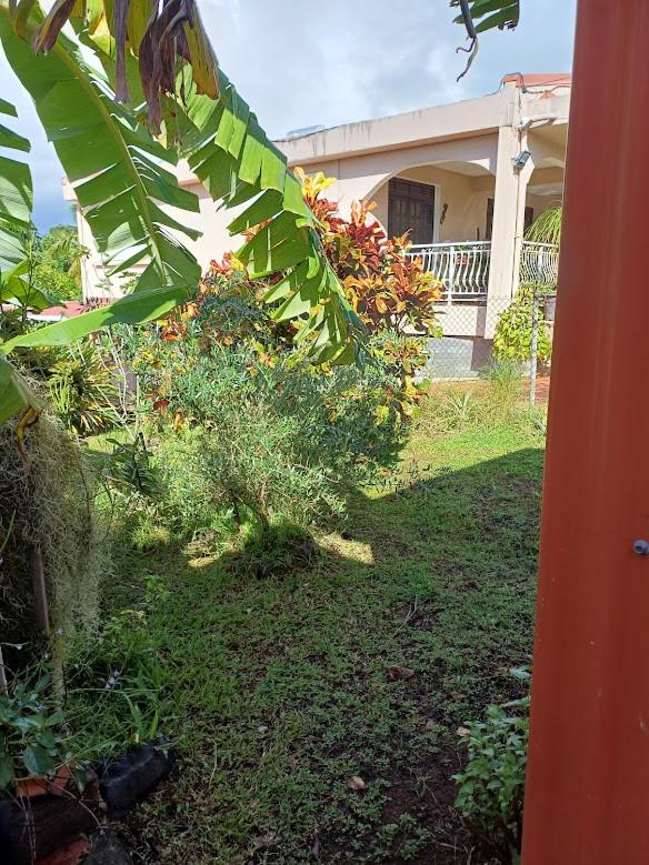 Chez Marino & Charlie - B&B Le Lamentin