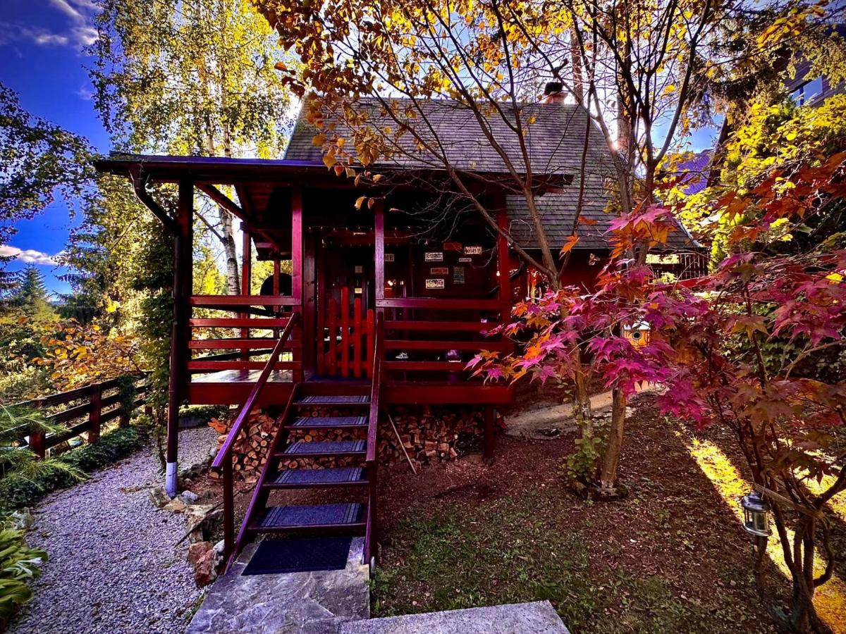 Zlatarsko Miriste - Chambres d’hôtes Nova Varoš