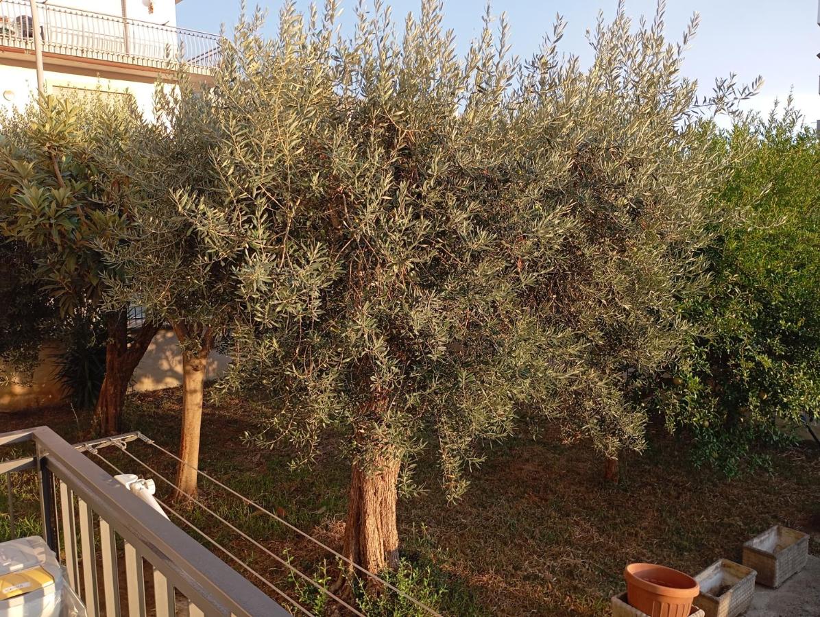 Casa Isotta - B&B Fondi