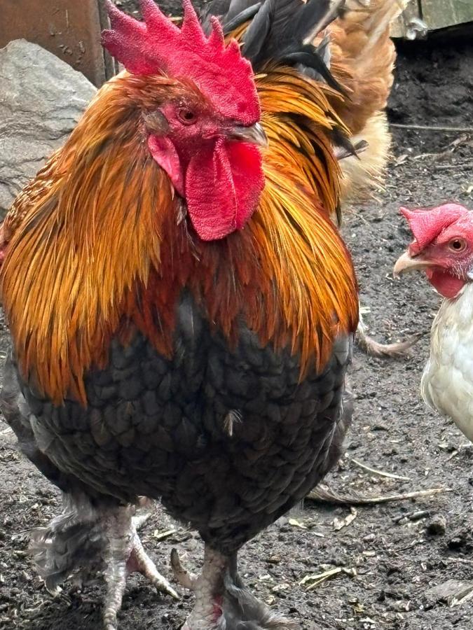 bei GRETA Wohnung 77 - Bed and Breakfast Marl