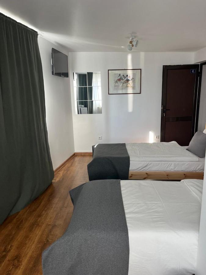 Casa Raicu - Bed and Breakfast Ploieşti