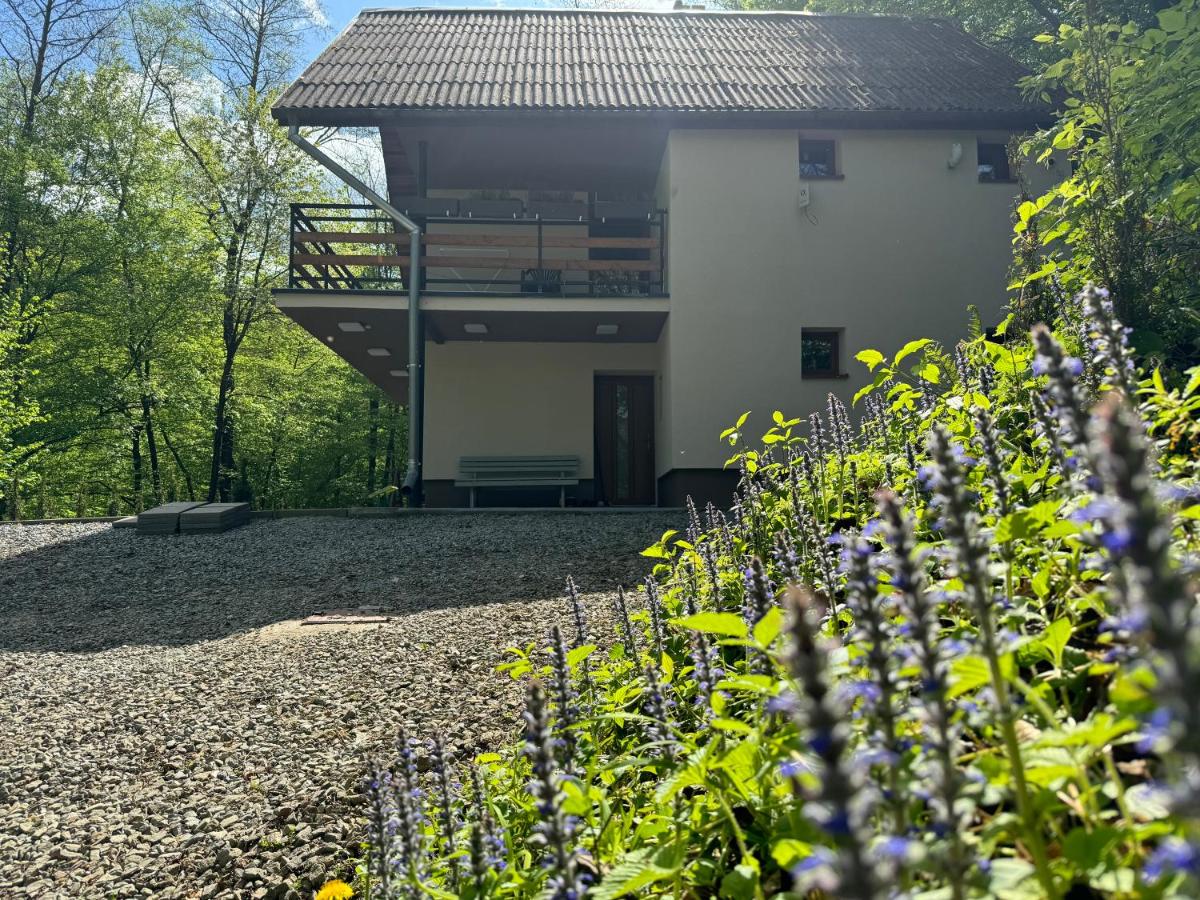 Chata554 Domaša Valkov - B&B Bžany