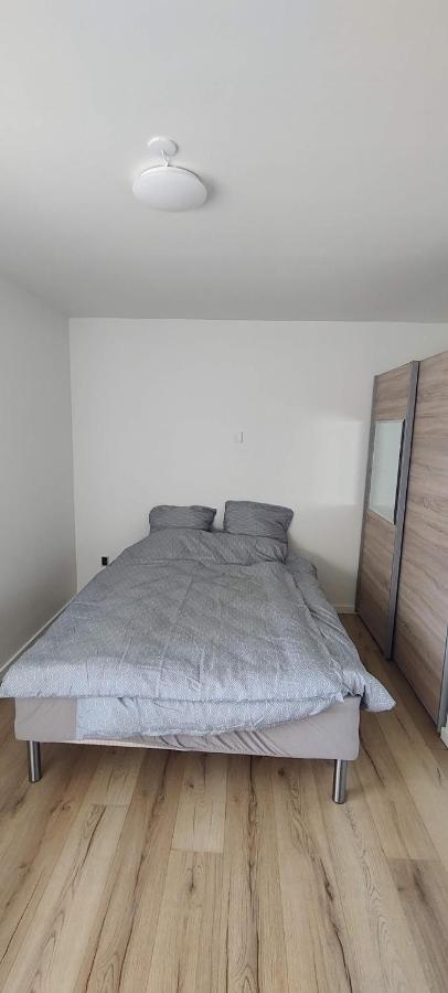 Single Room with Shared Bathroom