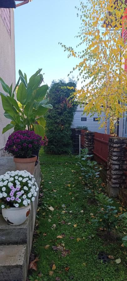 Apartman Bihać SviMi - Chambres d’hôtes Bihać